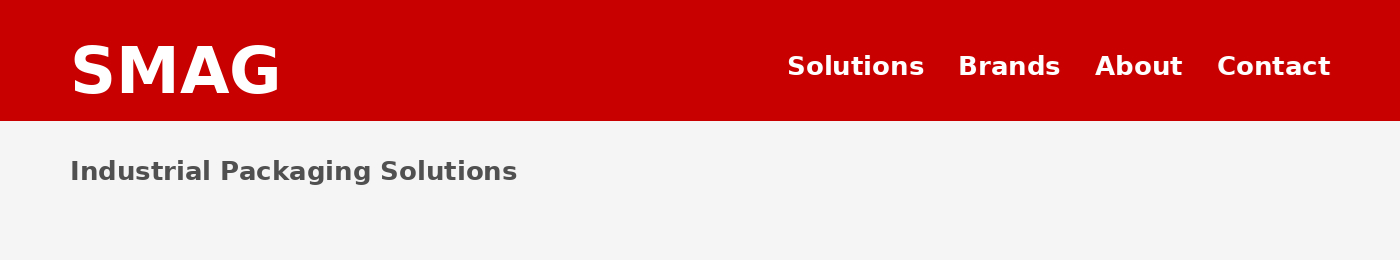 Steel strapping machine S419